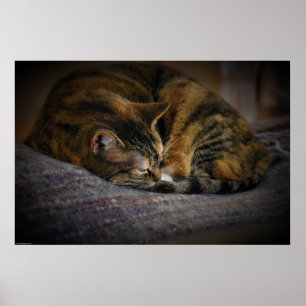 Póster Días lentos,