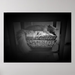 Póster Días lentos,