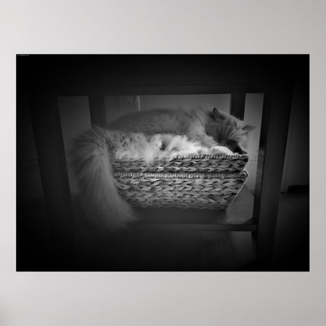 Póster Días lentos, (Frente)