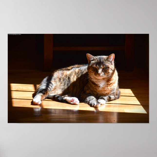 Póster Días lentos, (Frente)