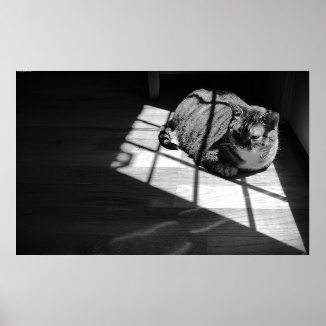 Póster Días lentos, (Frente)