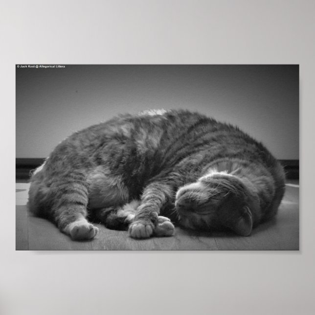 Póster Días lentos, (Frente)