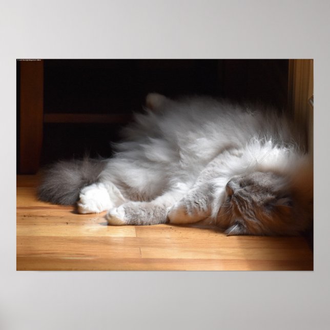 Póster Días lentos, (Frente)