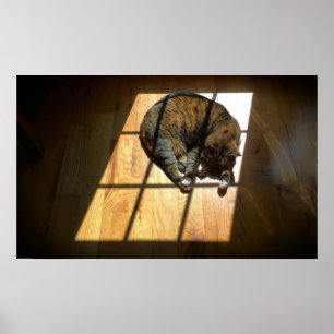 Póster Días lentos,