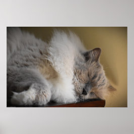 Póster Días lentos,