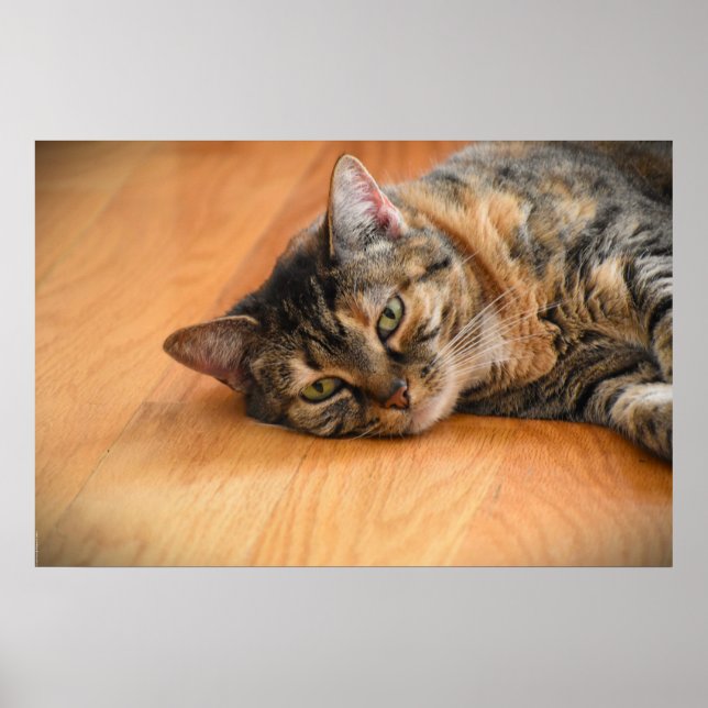 Póster Días lentos, (Frente)