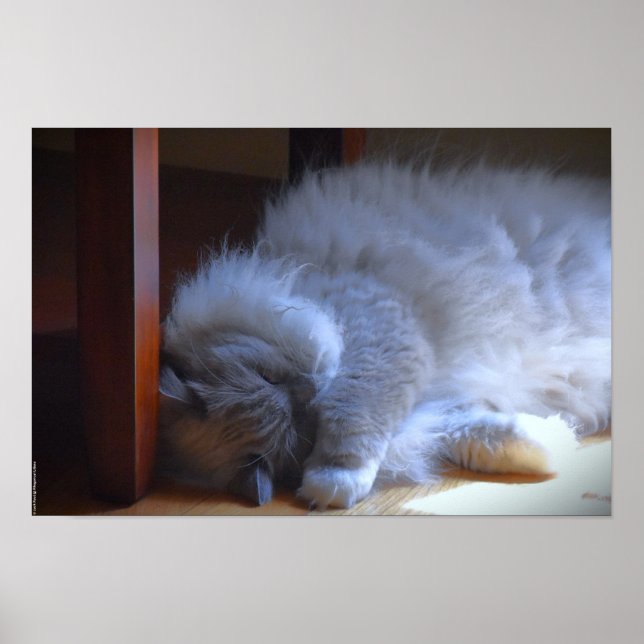 Póster Días lentos, (Frente)