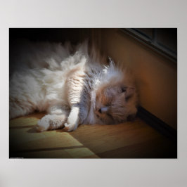 Póster Días lentos,