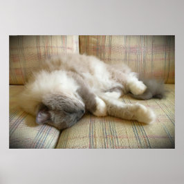 Póster Días lentos,