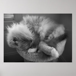 Póster Días lentos,