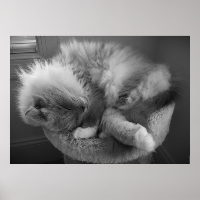 Póster Días lentos, (Frente)