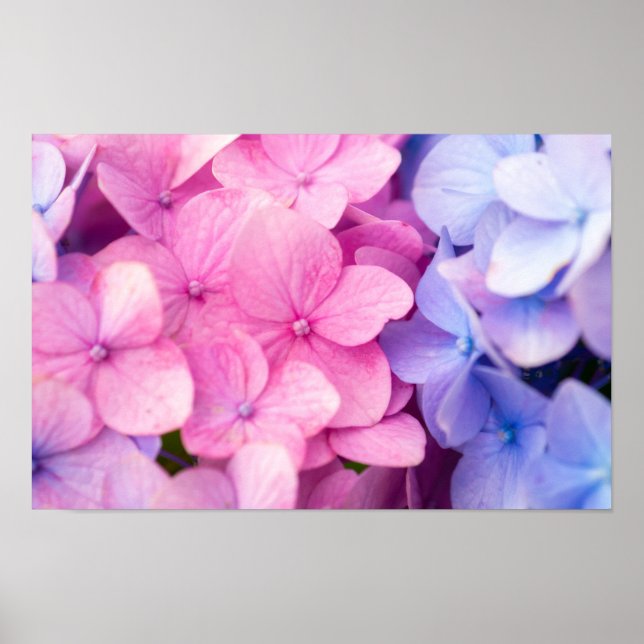 Póster Días lluviosos (Frente)