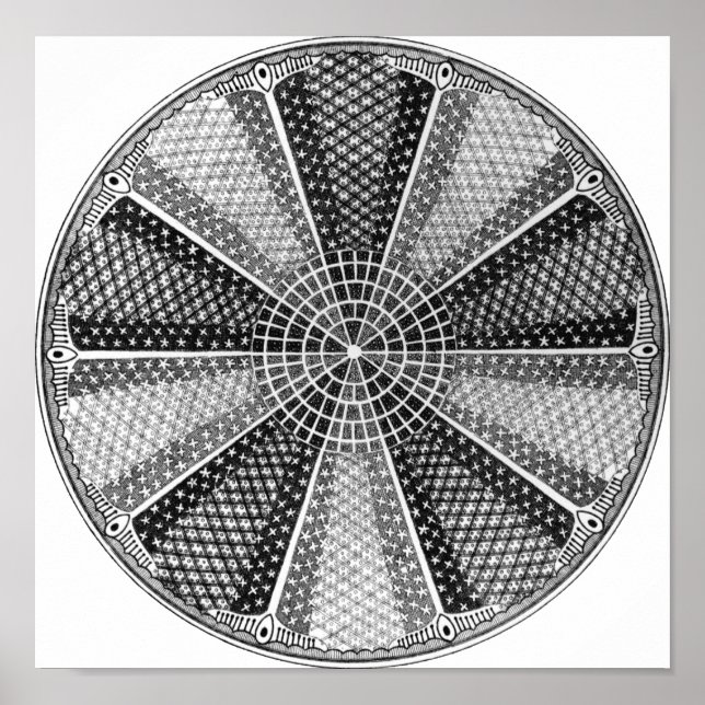 Póster Diatom 13 Ernst Haeckel Bella Artes (Frente)