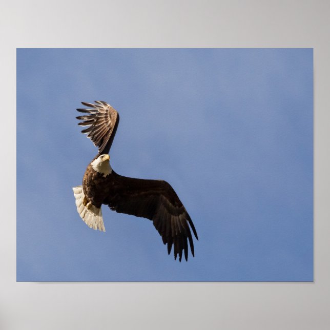 Póster Dibujar el cielo (Frente)