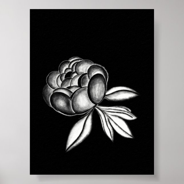Póster dibujo a lápiz de peonías (Frente)