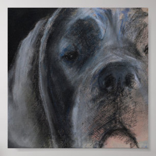 Póster Dibujo al pastel Gran Danés azul