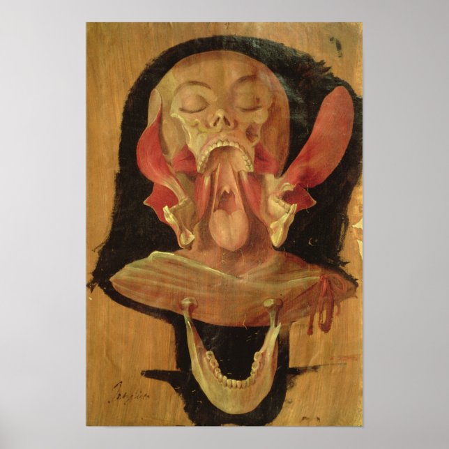 Póster Dibujo anatómico de la cabeza (Frente)