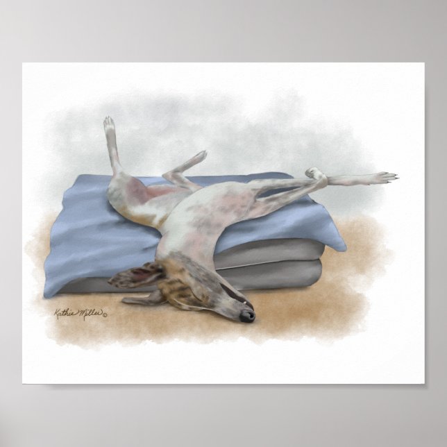 Póster Dibujo animado divertido de un galgo gris durmiend (Frente)