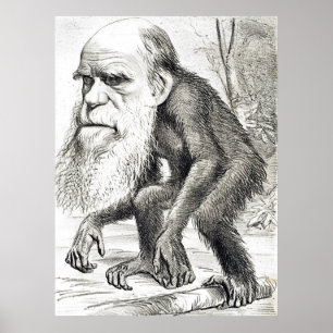 Póster Dibujo animado editorial de Charles Darwin 1871