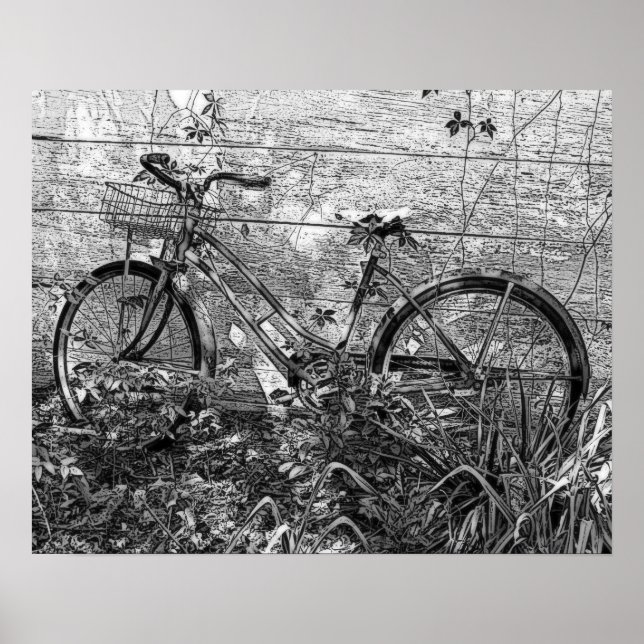 Póster Dibujo antiguo de bicicletas abandonadas, negro y  (Frente)