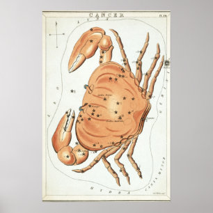 Póster Dibujo Astrológico de Cáncer