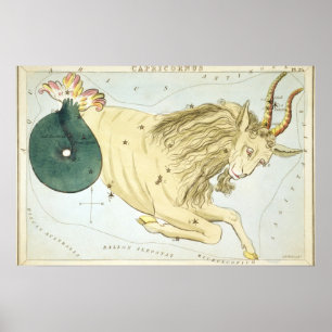 Póster Dibujo Astrológico de Capricornio