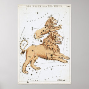 Póster Dibujo Astrológico de Leo