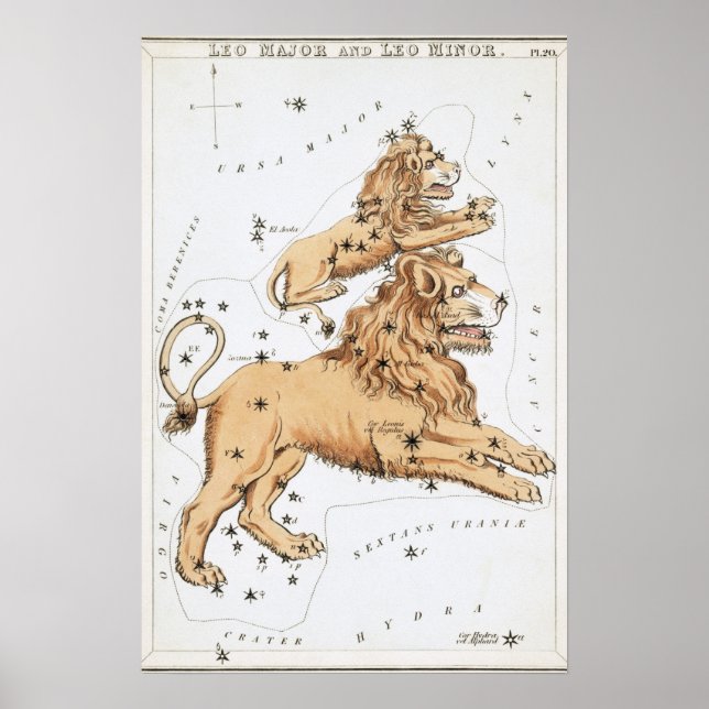 Póster Dibujo Astrológico de Leo (Frente)