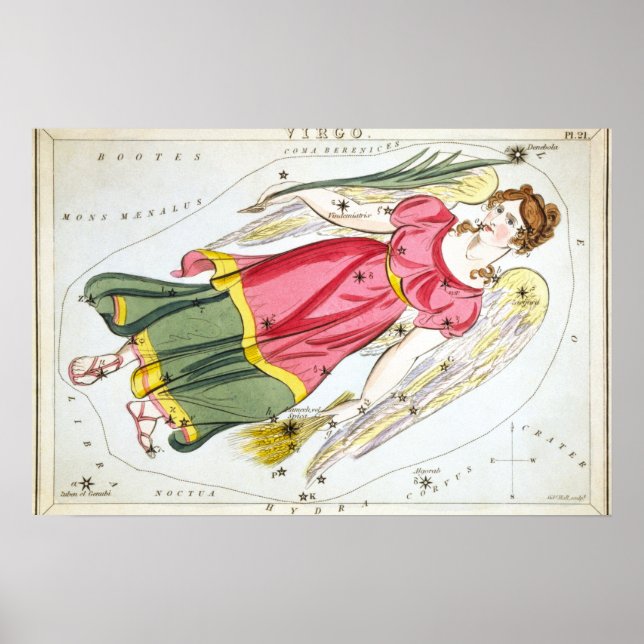 Póster Dibujo Astrológico de Virgo (Frente)