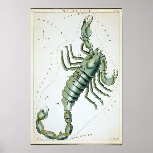 Póster Dibujo Astrológico Escorpio (Frente)