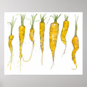 Póster Dibujo con tinta y acuarela de zanahorias de jardí
