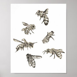 Póster Dibujo de abejas