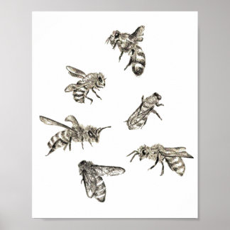 Póster Dibujo de abejas