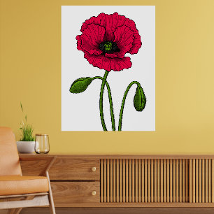 Póster Dibujo de amapola roja