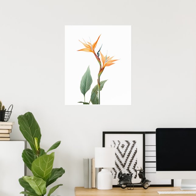 Póster Dibujo de ave del paraíso (flor) (Oficina en casa)