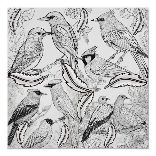 Póster Dibujo de aves en blanco y negro (Anverso)