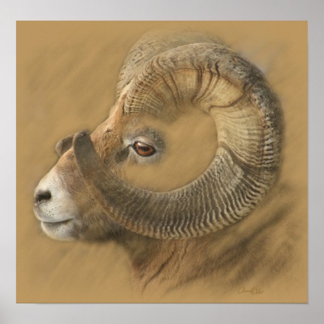Póster Dibujo de Big Horn Chalk (Frente)