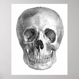Póster Dibujo de bosquejo humano de la anatomía del
