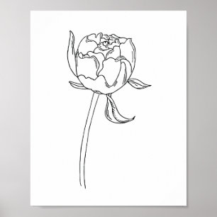 Póster Dibujo de brote de flores de peonía medio abierto