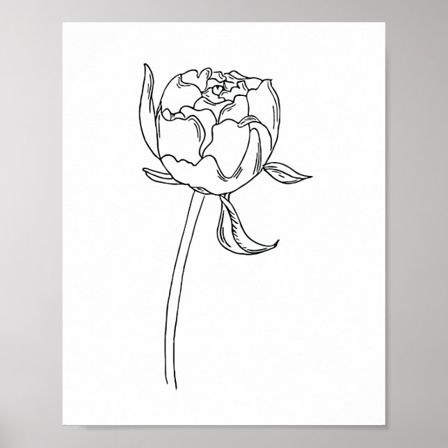Póster Dibujo de brote de flores de peonía medio abierto  (Frente)