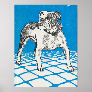 Póster Dibujo de Bulldog de vintage
