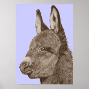 Póster dibujo de burro lindo