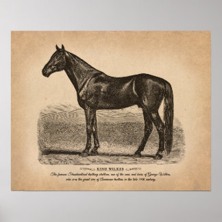 Póster Dibujo de caballos de época. Las razas más famosas