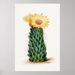 Póster Dibujo de Cactus de flores amarillas