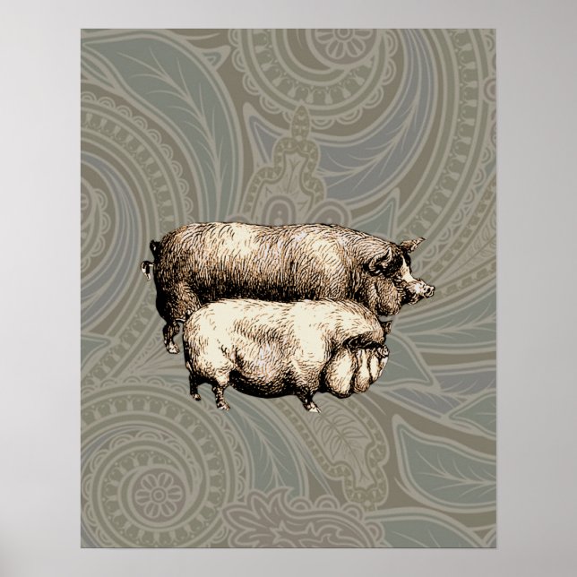 Póster Dibujo de cerdos antiguos (Frente)