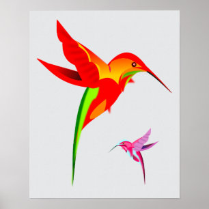 Póster Dibujo de colibrí colorido