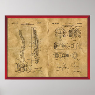 Póster Dibujo de columna vertebral antiguo