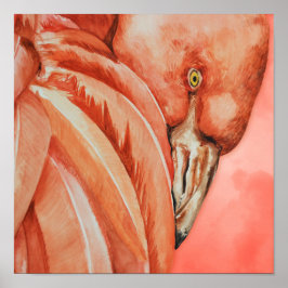 Póster Dibujo de flamenco de corte