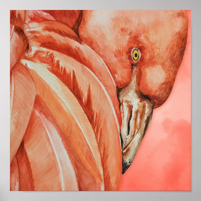 Póster Dibujo de flamenco de corte (Frente)