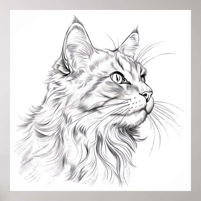 Póster Dibujo de gato (Frente)